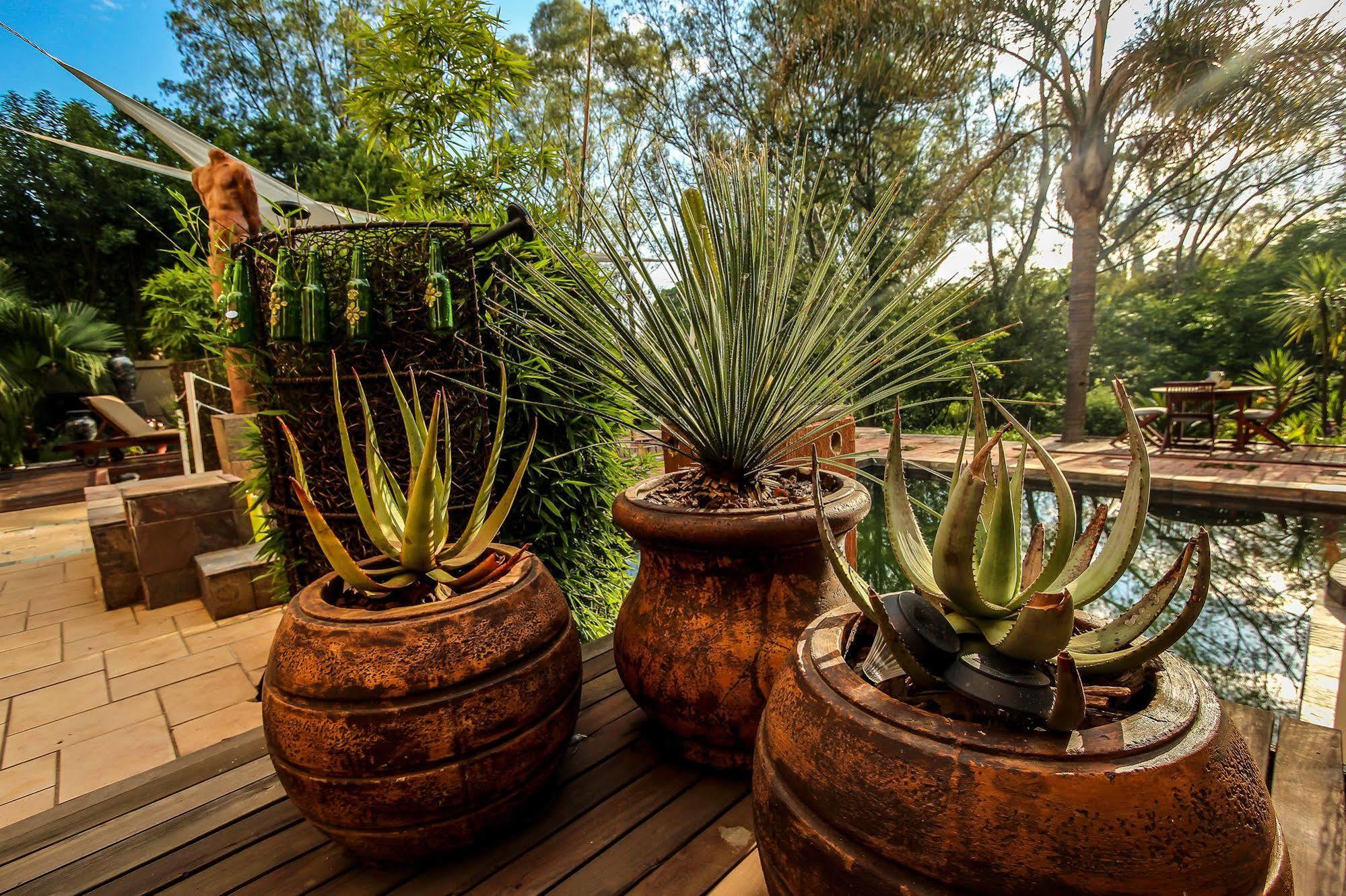 Twin Waters Guest House Randburg Buitenkant foto
